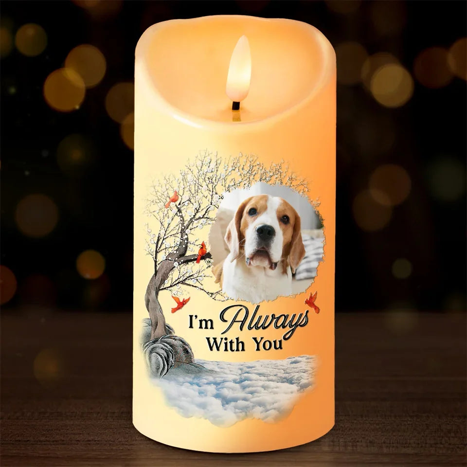 Personalized Pet Memorial Custom Photo LED Candle, A Companion Is Gone Sympathy Gift for Pet Owners