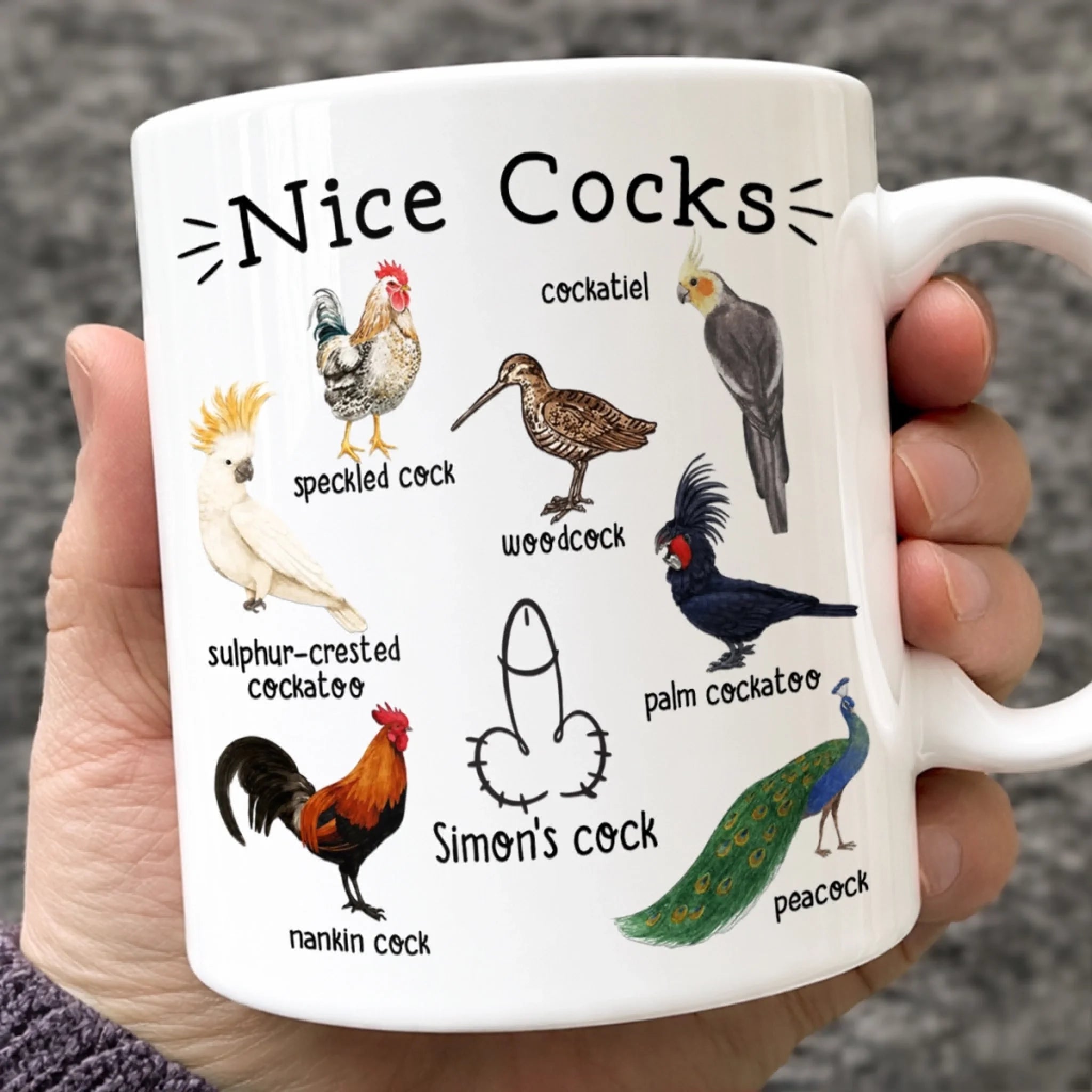 Custom Mug Personalized Birthday Gift for Husband or Boyfriend with Funny Birds