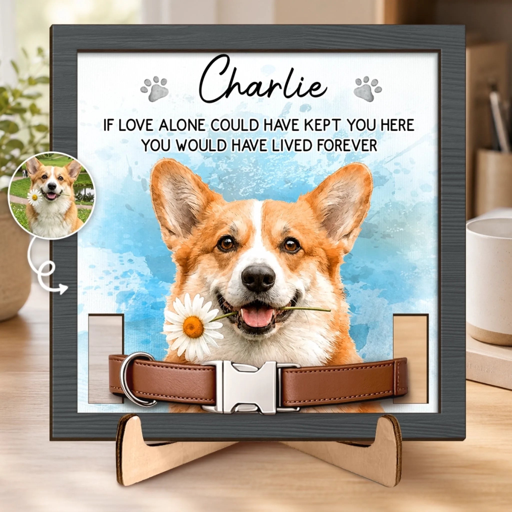Custom Photo Pet Loss Memorial Sign with Collar Frame, Personalized Dog or Cat Sympathy Gift