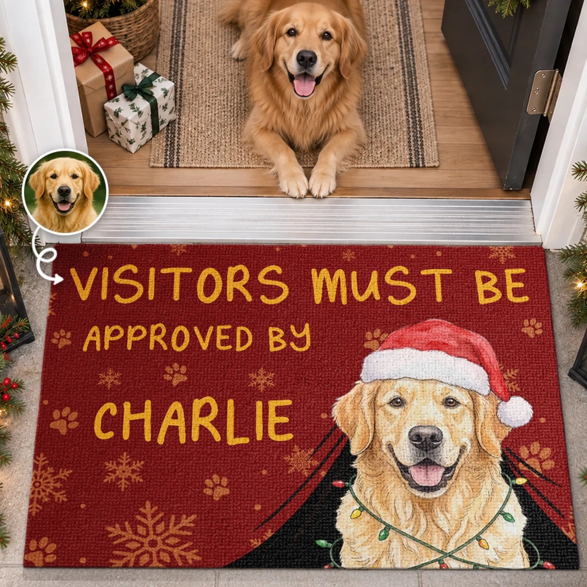 Personalized Photo Doormat, Paws Before You Enter Custom Home Decor Mat, Christmas Birthday Gift for Pet Lovers