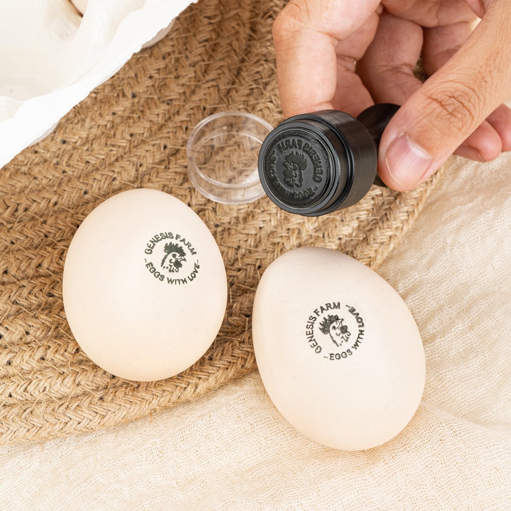 Personalized Multiple Sizes Chicken Silhouette Egg Stamp Farm Egg Safe Label with Text and Box Food-Grade Ink Birthday Gift for Family Farmer Breeder