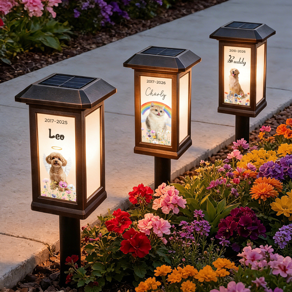 Personalized Pet Memorial Solar Garden Light with Photo Rainbow Angel Wings Name and Date