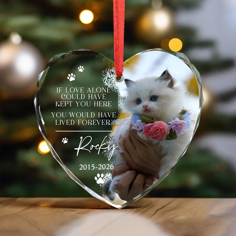 Personalized Paw Print Photo Heart Round Ornament with Name and Year Tree Decor Birthday Memorial Christmas Gift for Pet Lovers Owners